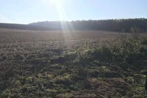 Купить землю под застройку в Ровенской области