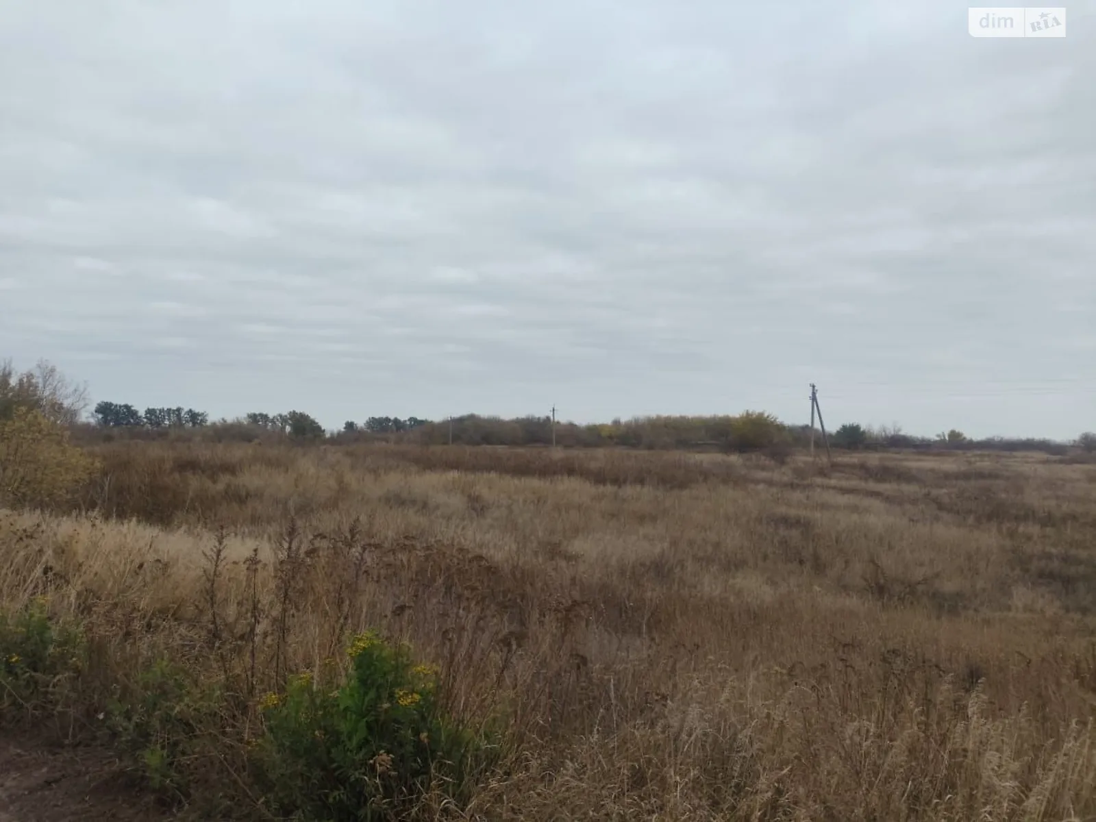 Побережье, цена: 14230 грн - фото 1