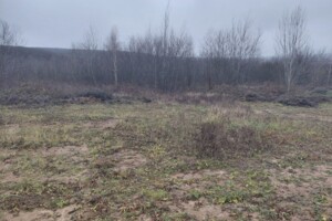 Продажа земли сельскохозяйственного назначения, Закарпатская, Барвинок