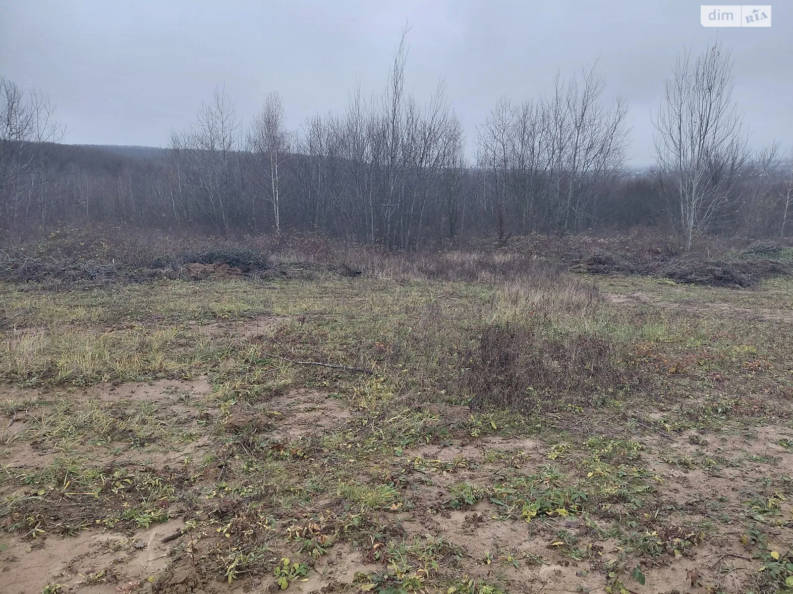 Продается земельный участок 14 соток в Закарпатской области, цена: 25200 $ - фото 1