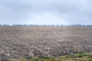 Продажа земли сельскохозяйственного назначения, Винницкая, Кудлаи