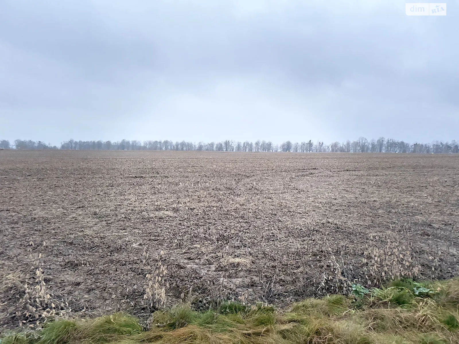 Продается земельный участок 2 соток в Винницкой области, цена: 42000 $ - фото 1