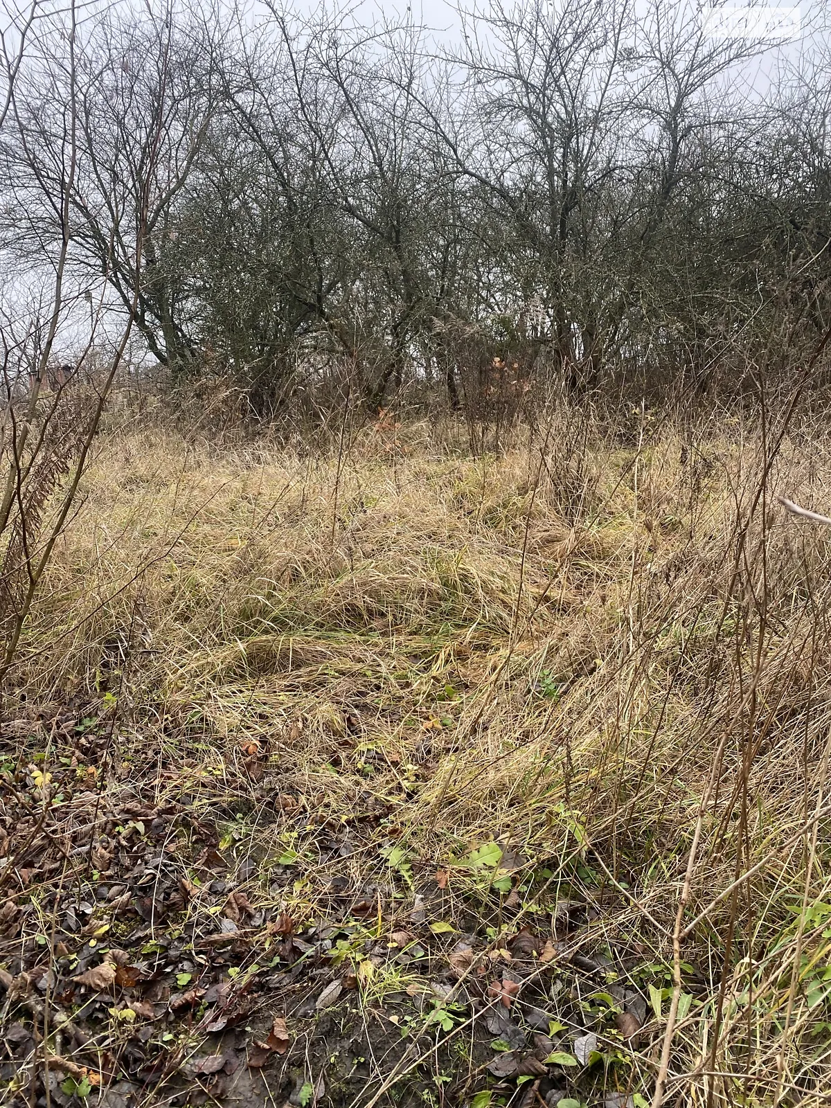 Продается земельный участок 8 соток в Хмельницкой области, цена: 9000 $ - фото 1