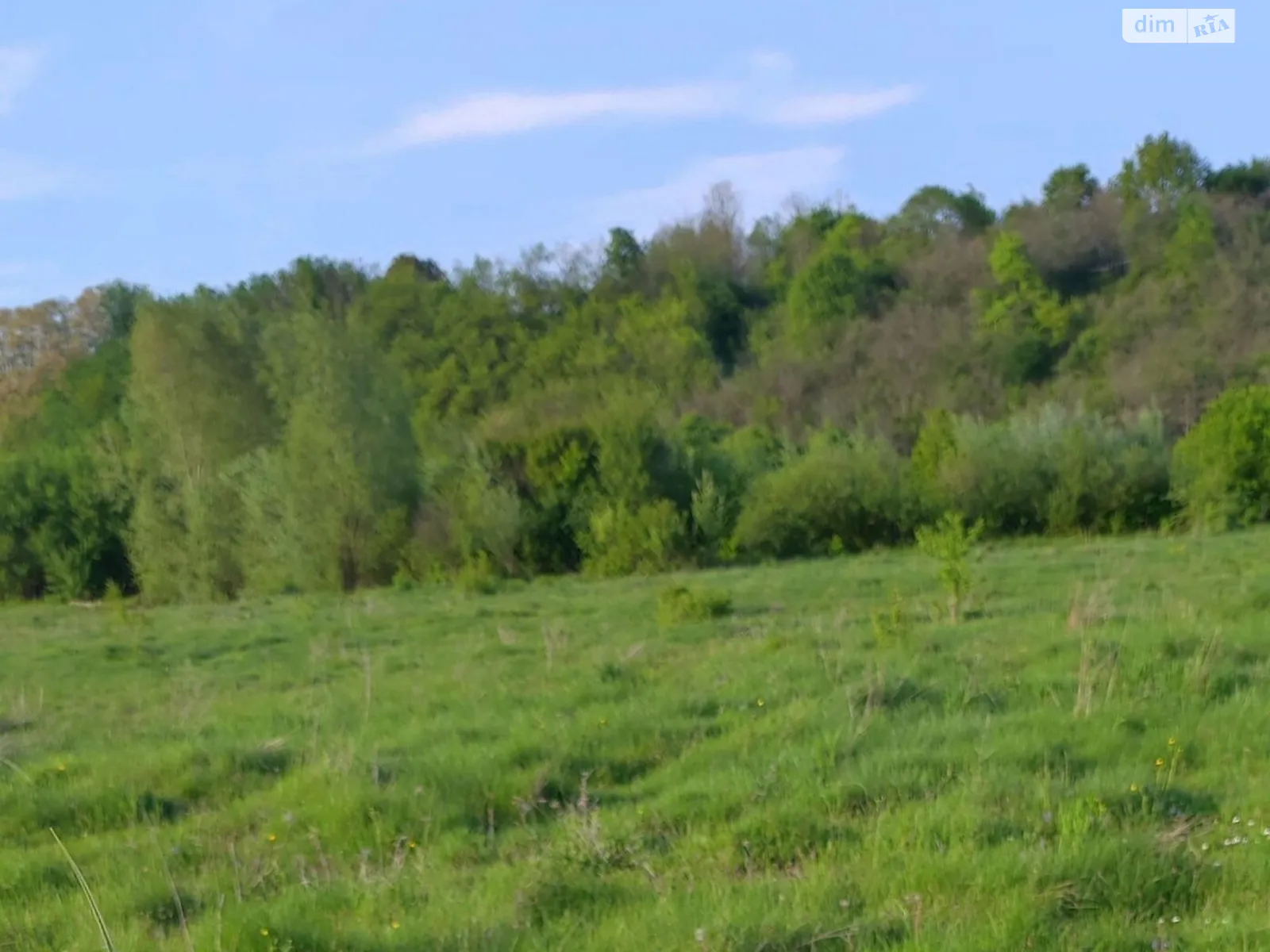 Тенетники, цена: 12570 грн - фото 1