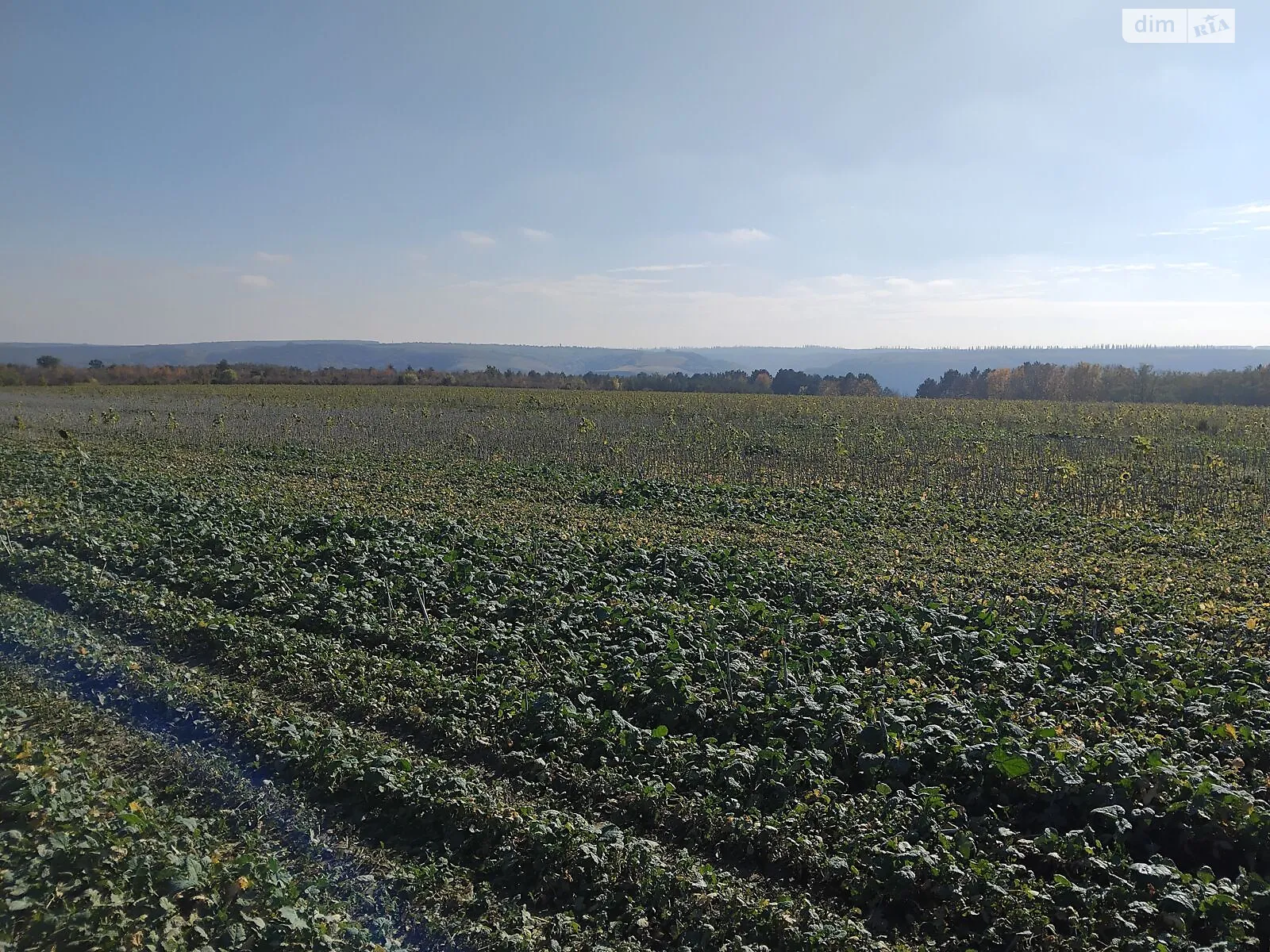 Сдается в аренду земельный участок 10.0571 соток в Хмельницкой области, цена: 31719 грн - фото 1