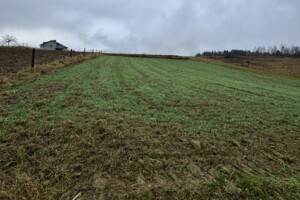 Купить землю под застройку в Ровенской области