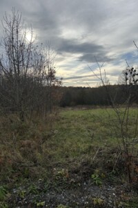 Продаж землі сільськогосподарського призначення, Львівська, Бартатів, Садова вулиця