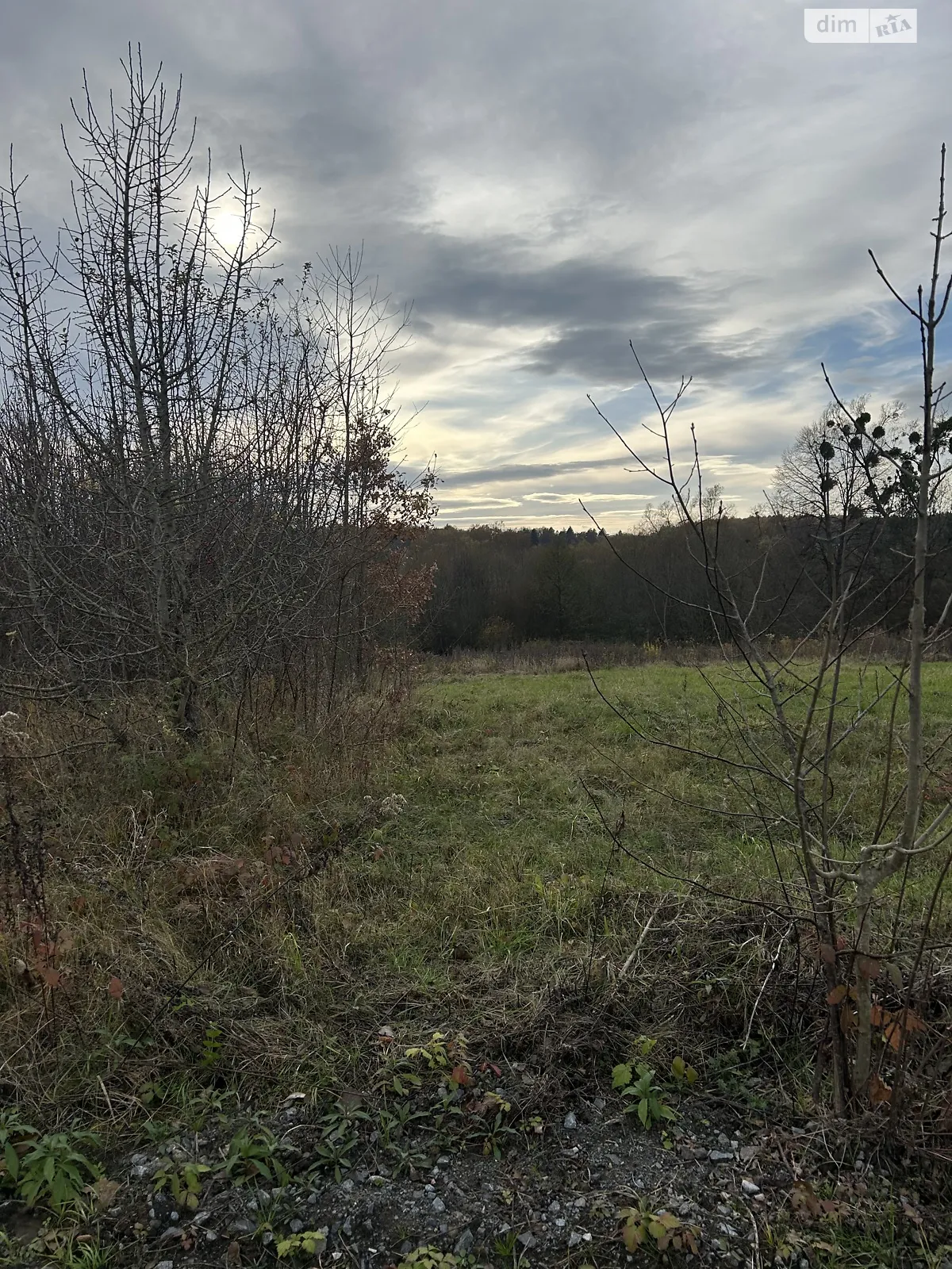 Продается земельный участок 19 соток в Львовской области, цена: 40000 $ - фото 1