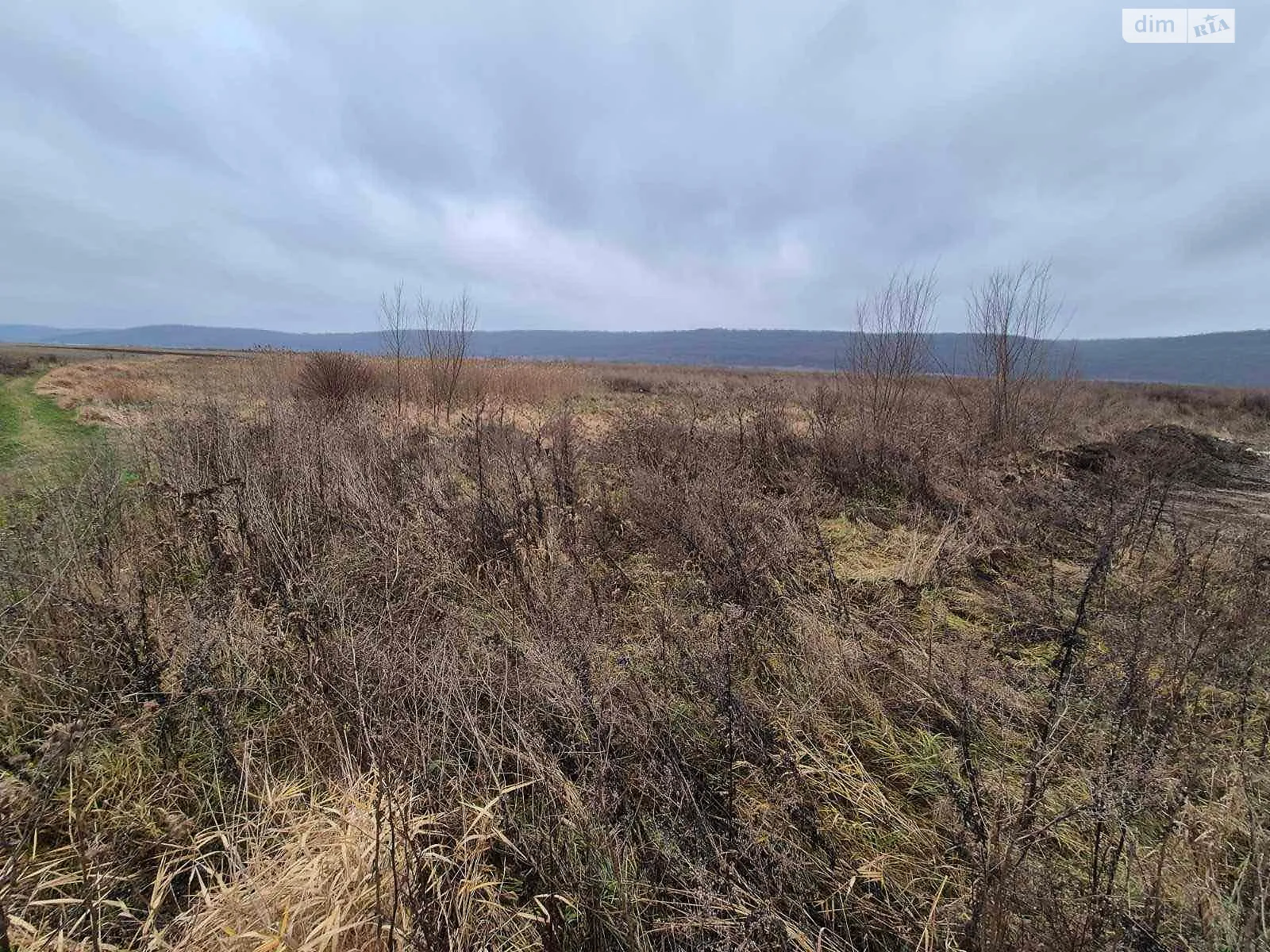 Сдается в аренду земельный участок 9.5293 соток в Ивано-Франковской области, цена: 22238 грн - фото 1