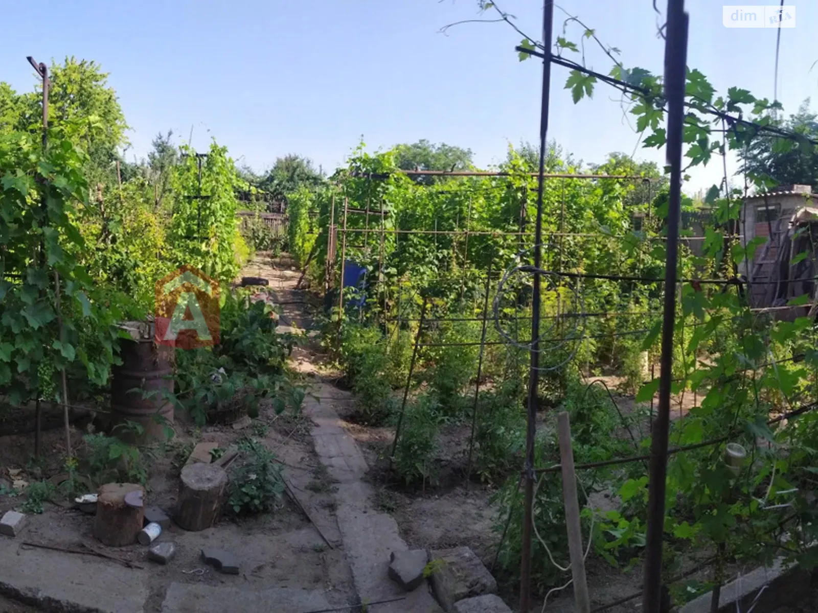 Продается одноэтажный дом 61 кв. м с подвалом, цена: 25000 $ - фото 1