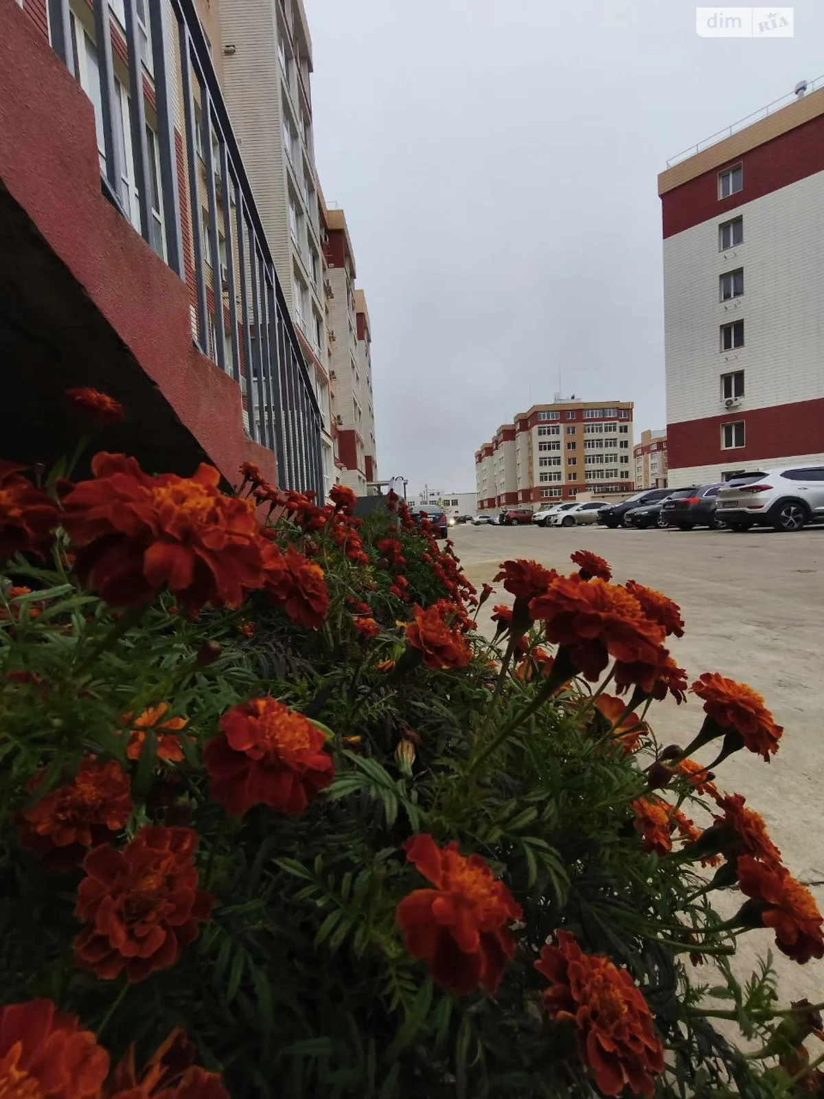 Продается 2-комнатная квартира 60 кв. м в Лиманке, ул. Строительная - фото 1