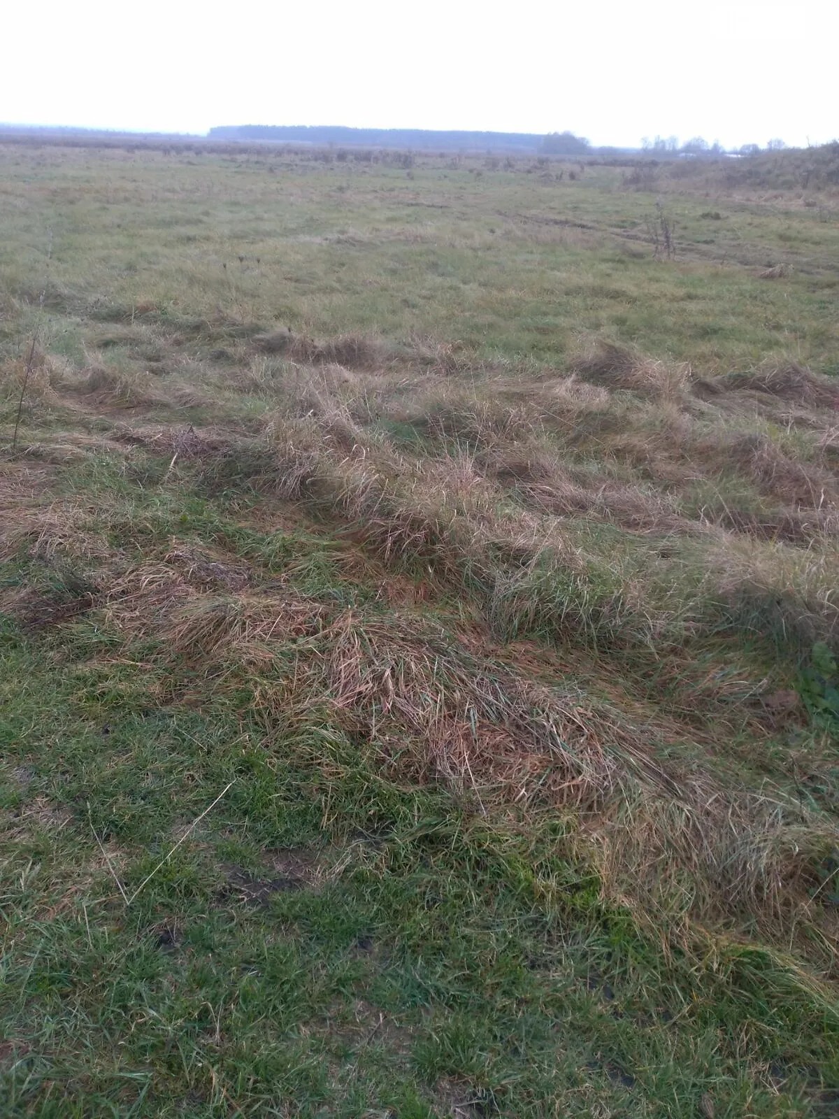 Сдается в аренду земельный участок 16.56 соток в  области, цена: 40581 грн - фото 1