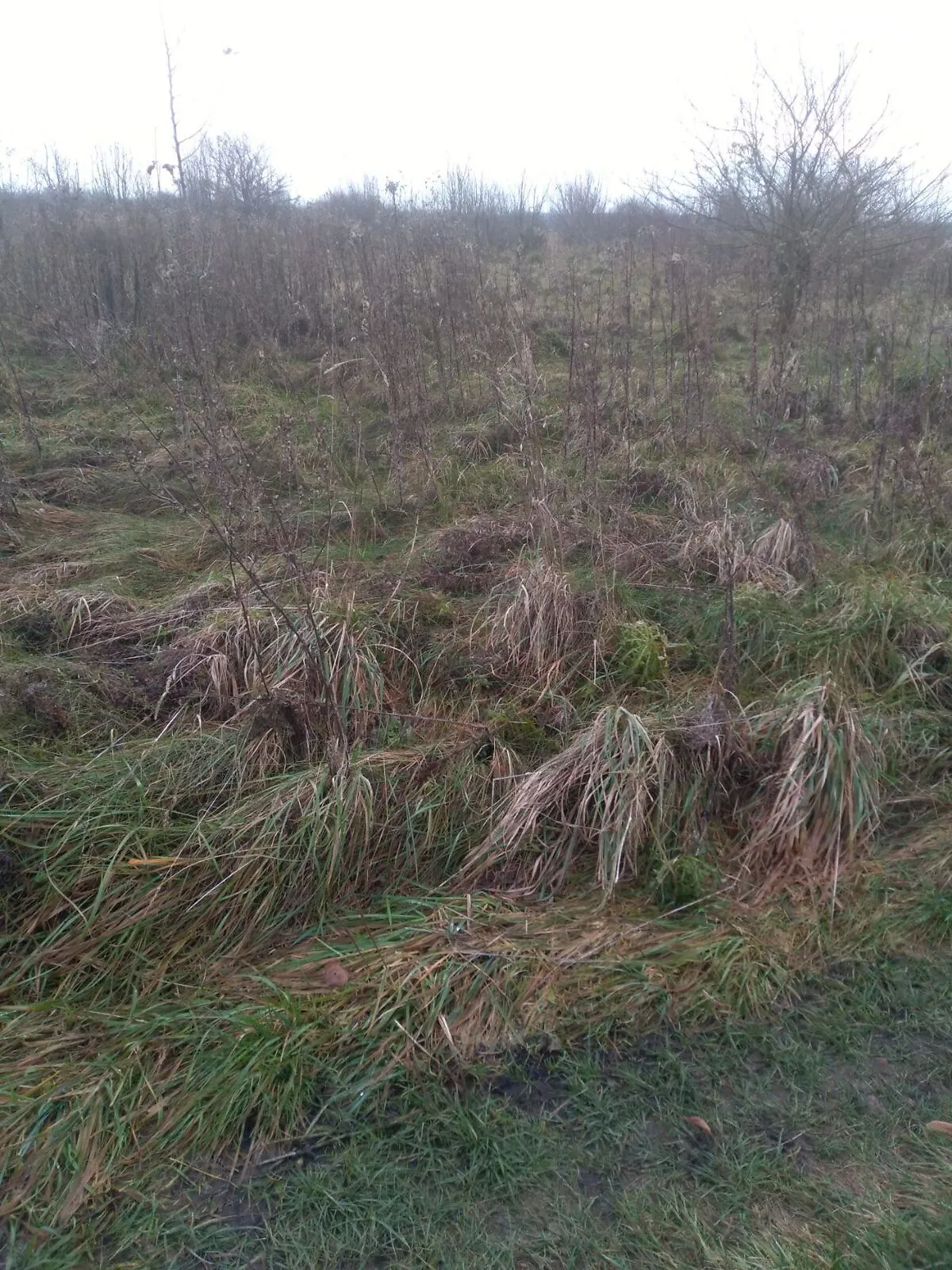 Сдается в аренду земельный участок 2 соток в  области, цена: 4798 грн - фото 1