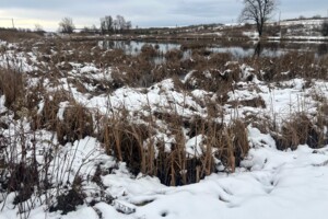 Аренда участков