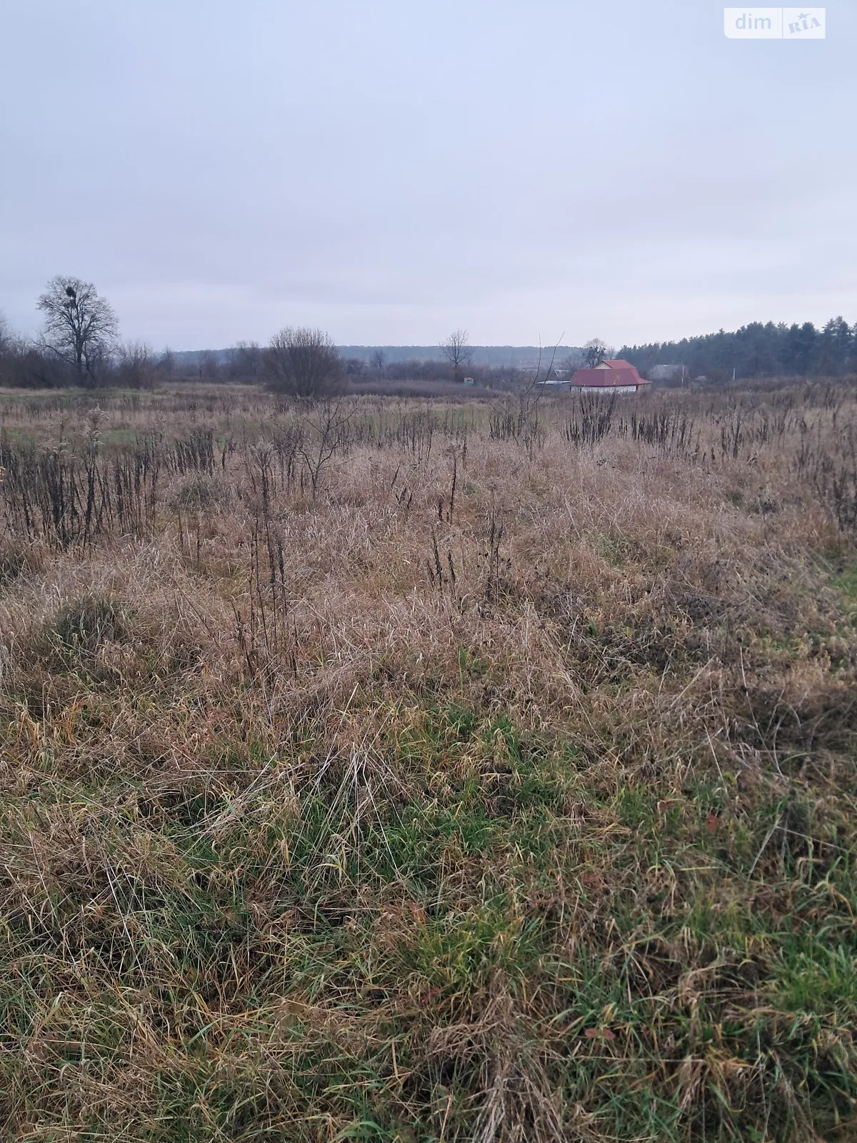 Продается земельный участок 16 соток в Винницкой области, цена: 9000 $ - фото 1