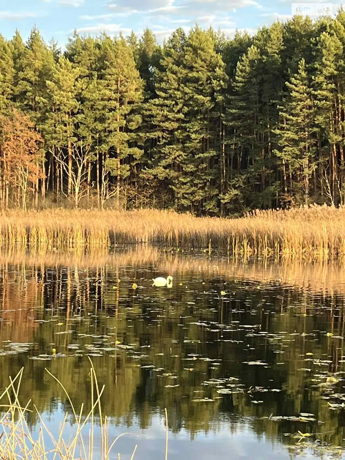 Соколы (Мостиска), цена: 5000 $ - фото 1