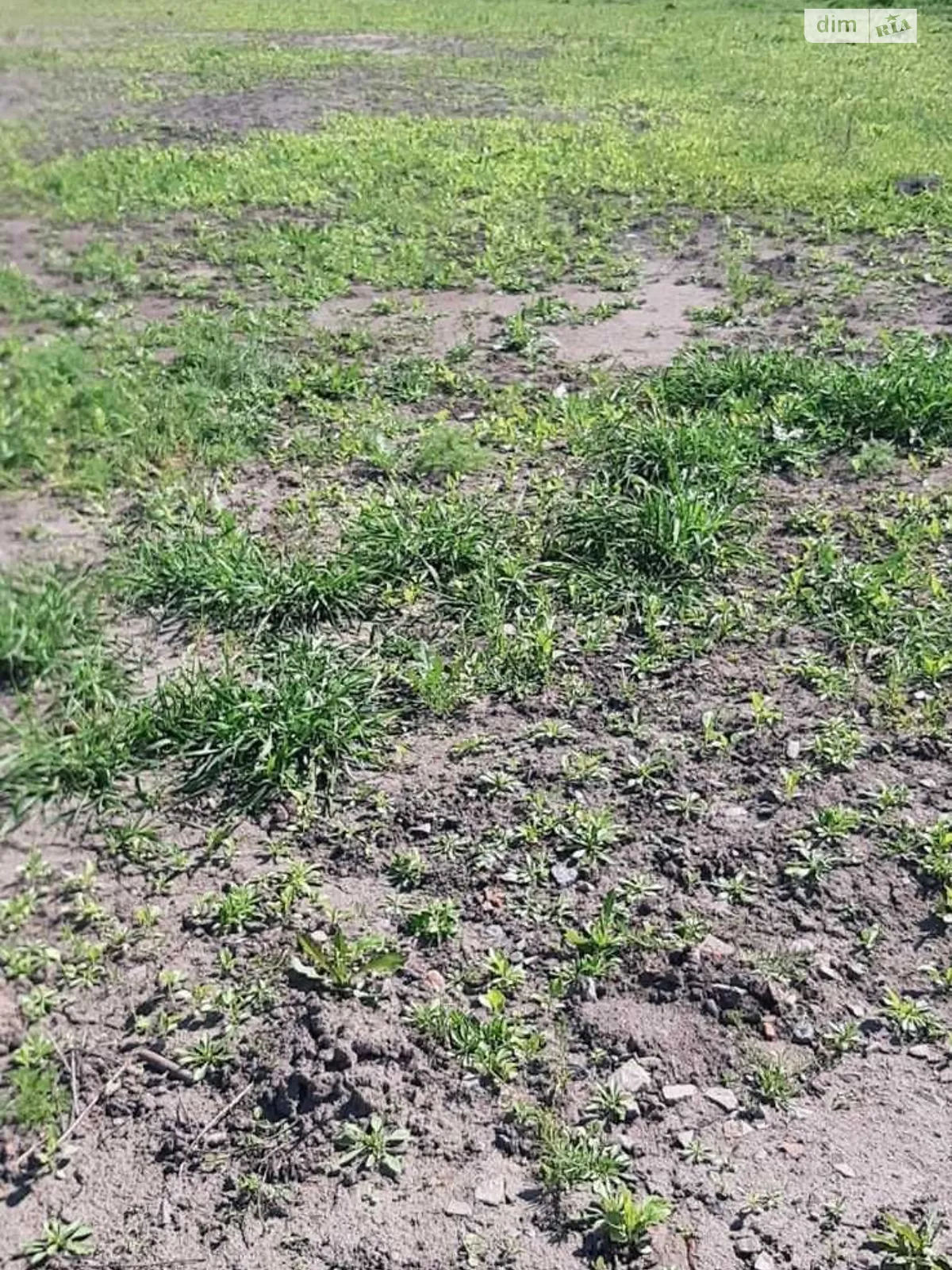 Сдается в аренду земельный участок 0.534 соток в области, цена: 127295 грн - фото 1