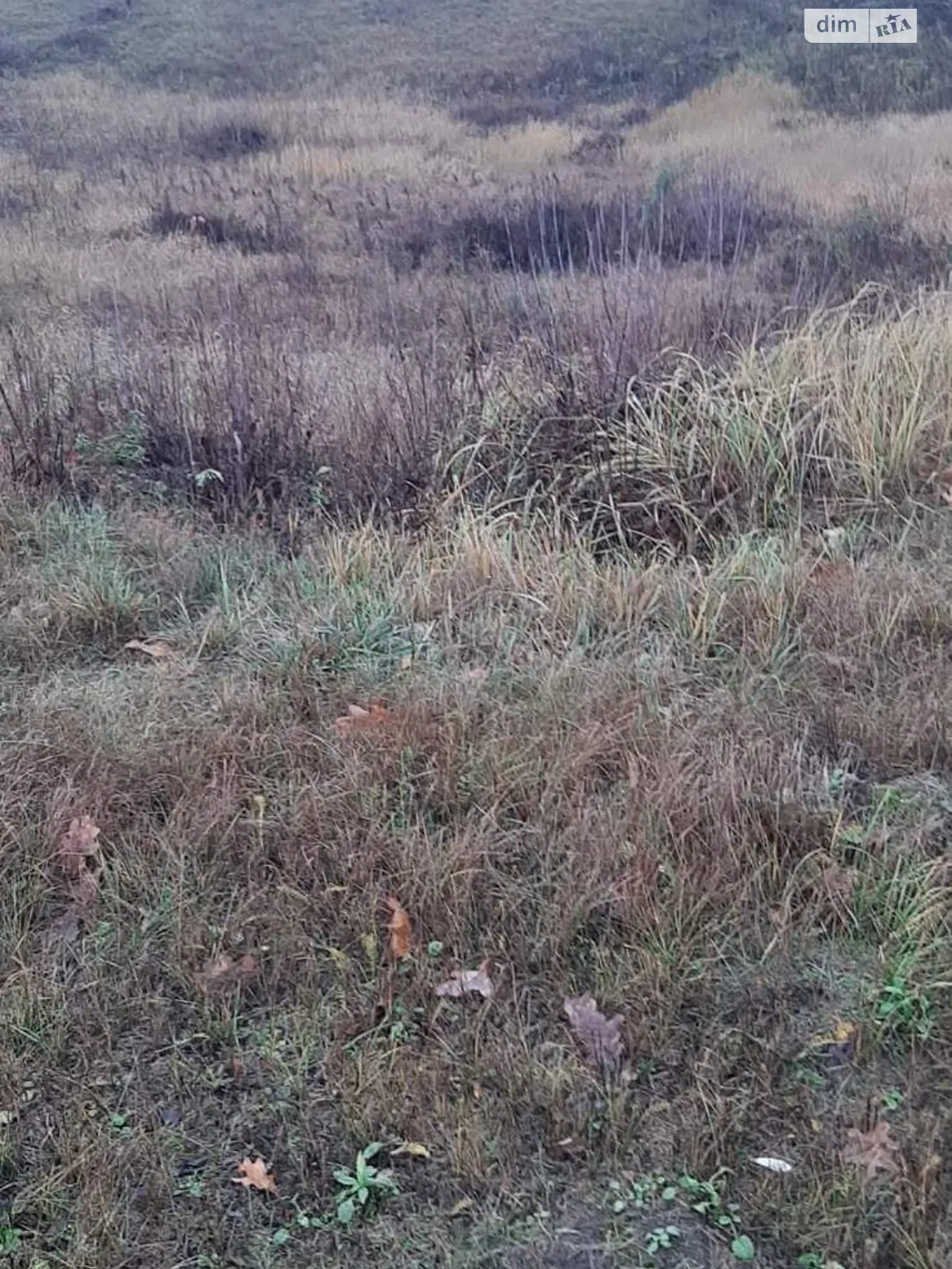 Сдается в аренду земельный участок 0.2755 соток в области, цена: 73222 грн - фото 1