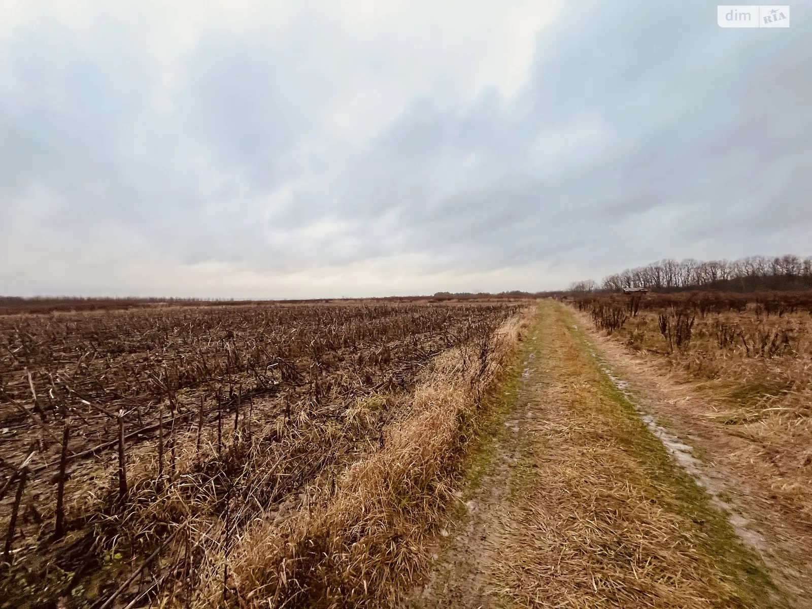 Продається земельна ділянка 10 соток у Вінницькій області, цена: 14000 $ - фото 1