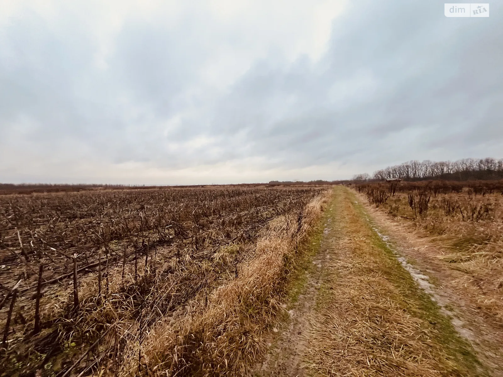 Продается земельный участок 10 соток в Винницкой области, цена: 14000 $ - фото 1