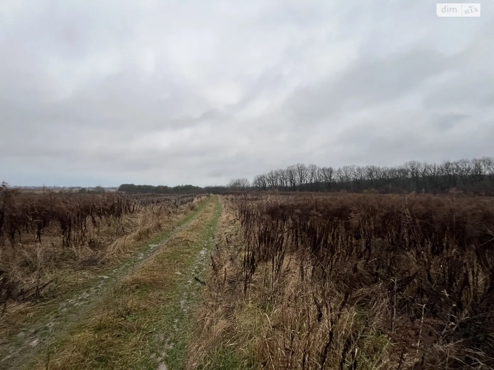 Продается земельный участок 10 соток в Винницкой области, цена: 15000 $ - фото 1