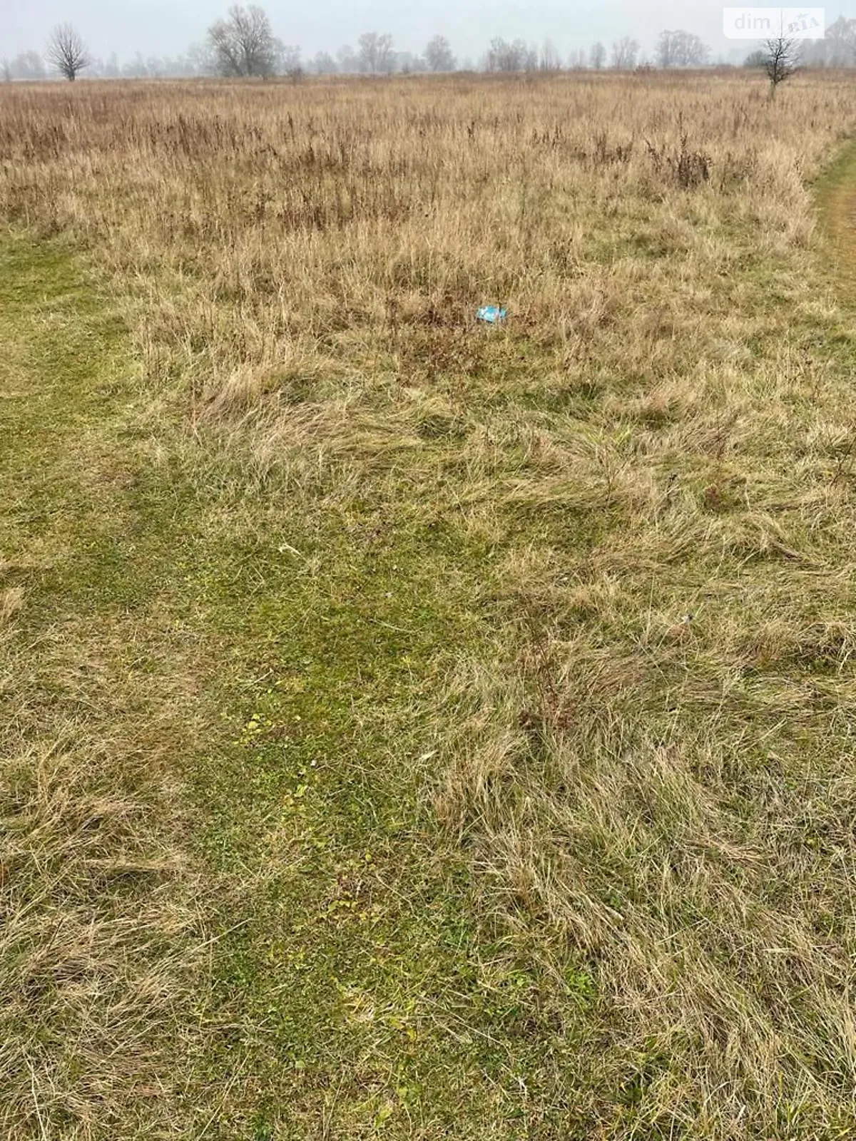 Здається в оренду земельна ділянка 5.4057 соток у Сумській області, цена: 5414 грн - фото 1