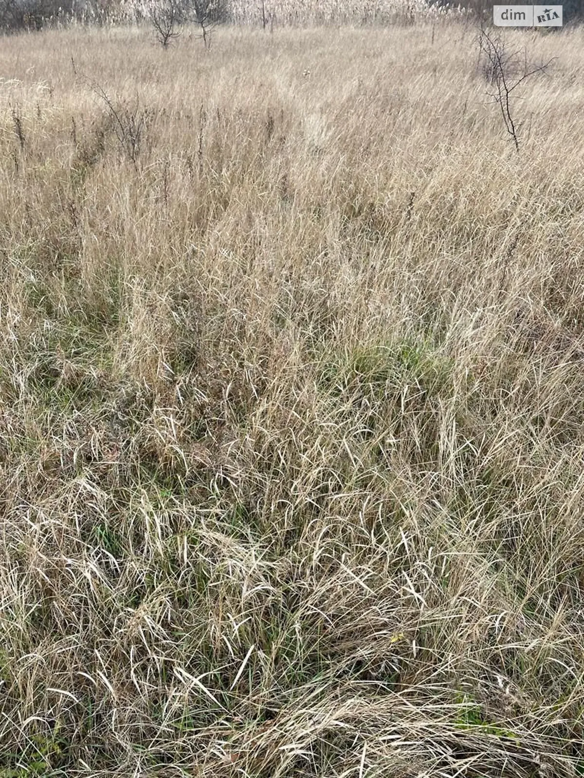 Здається в оренду земельна ділянка 14.5981 соток у Сумській області, цена: 6466 грн - фото 1