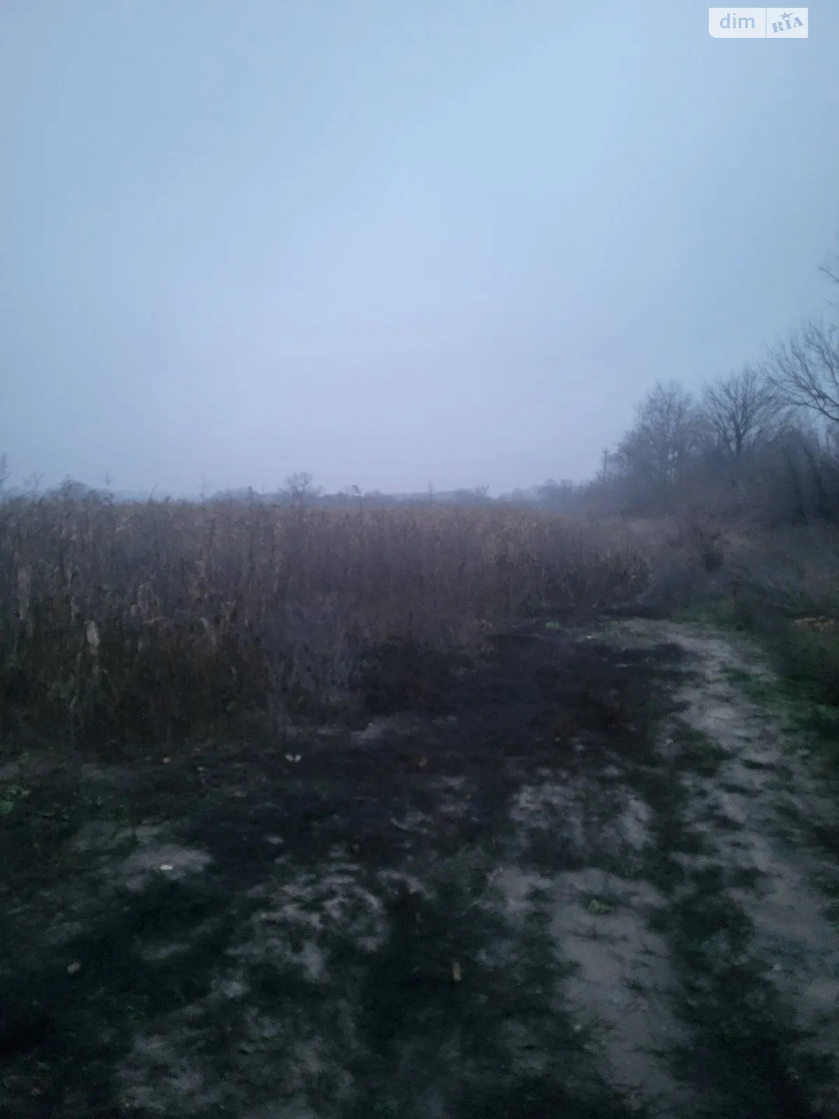 Здається в оренду земельна ділянка 7.7727 соток у  області, цена: 635161 грн - фото 1