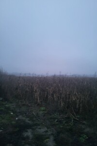 Сниму земельный участок в Лубнах долгосрочно