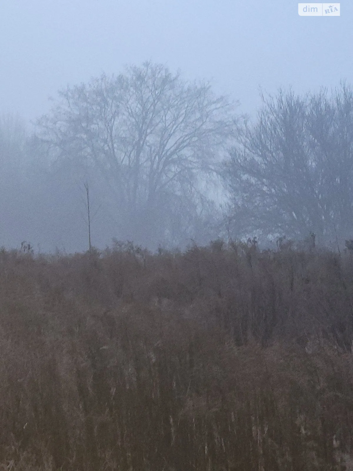 Здається в оренду земельна ділянка 17.3158 соток у  області, цена: 1259256 грн - фото 1