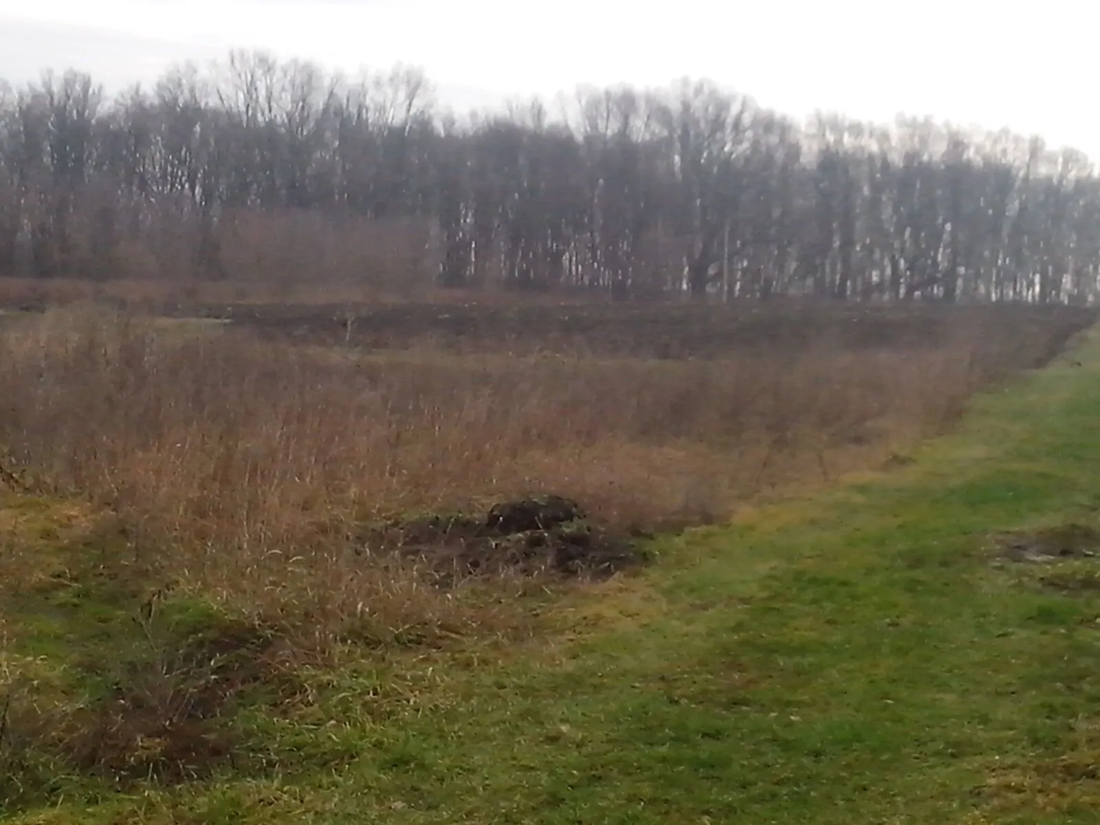 Здається в оренду земельна ділянка 4.7842 соток у  області, цена: 428525 грн - фото 1