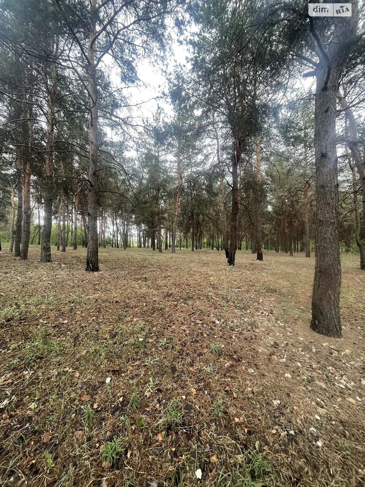 Продается земельный участок 15 соток в Харьковской области, цена: 15000 $ - фото 1