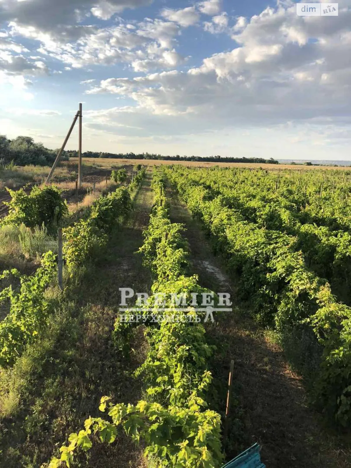 Продается земельный участок 505.29 соток в Одесской области, цена: 30000 $ - фото 1