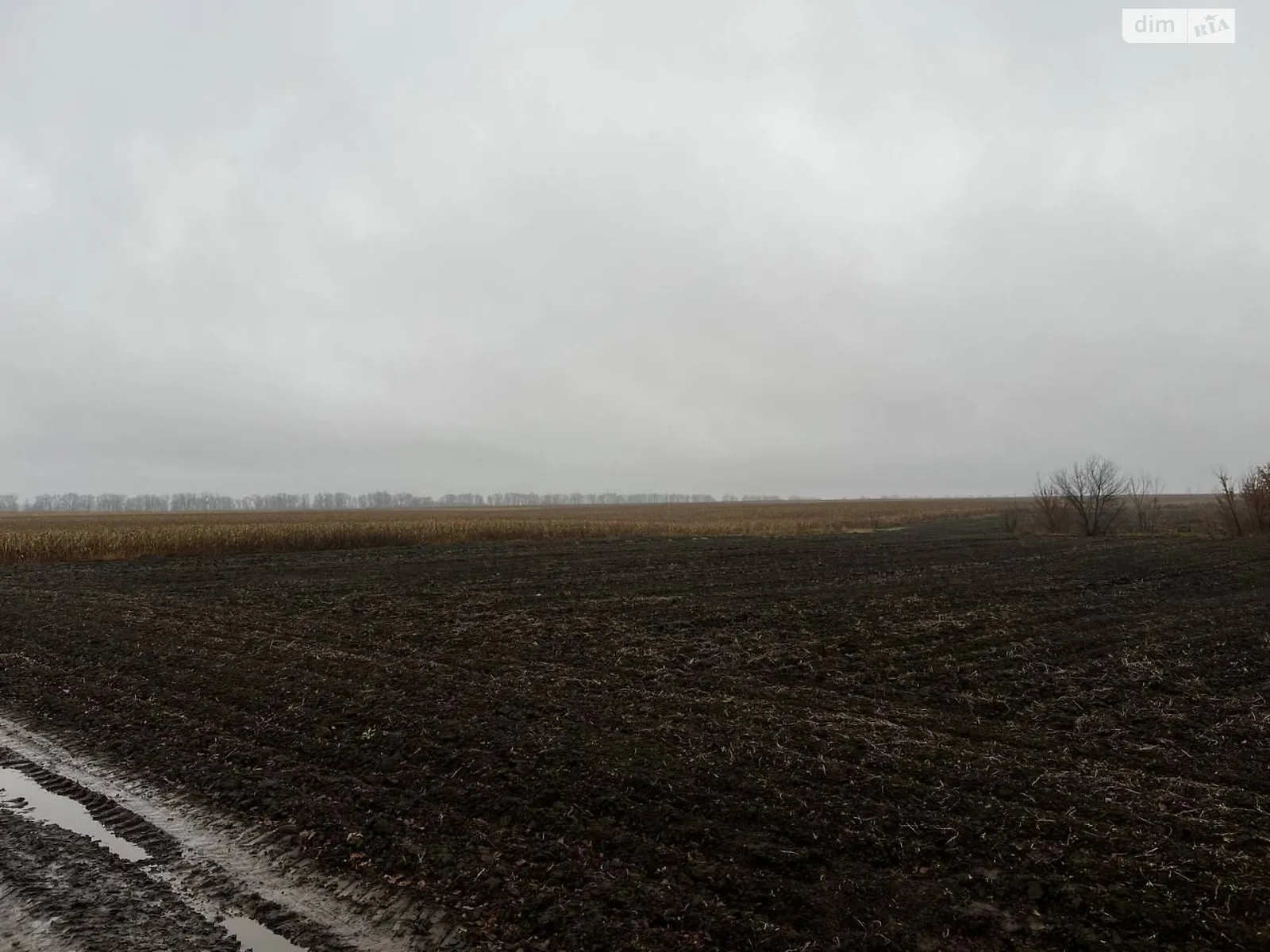 Сдается в аренду земельный участок 9.8 соток в области, цена: 27559 грн - фото 1