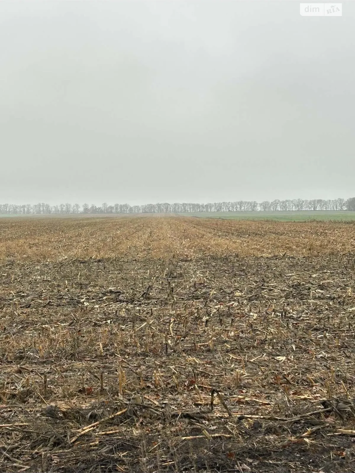 Мазинки, цена: 22490 грн - фото 1