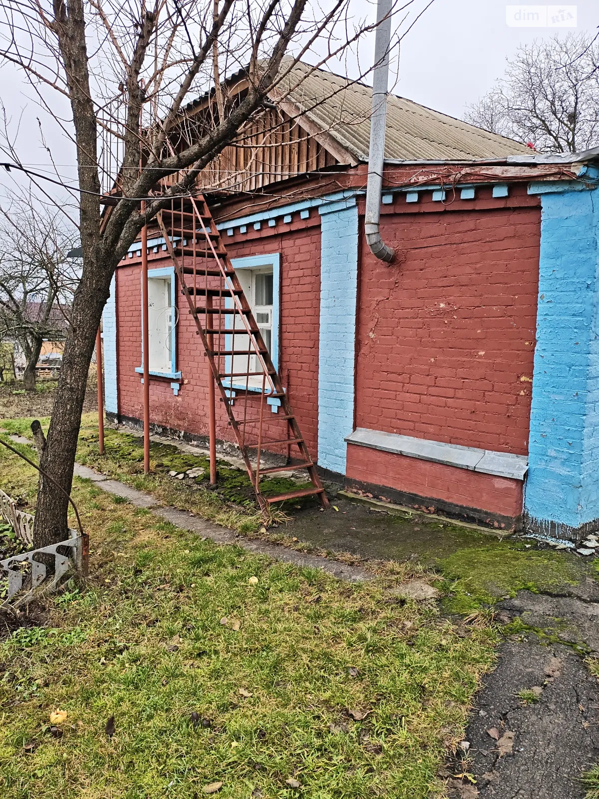 Здається в оренду одноповерховий будинок 53 кв. м з садом, цена: 4300 грн - фото 1