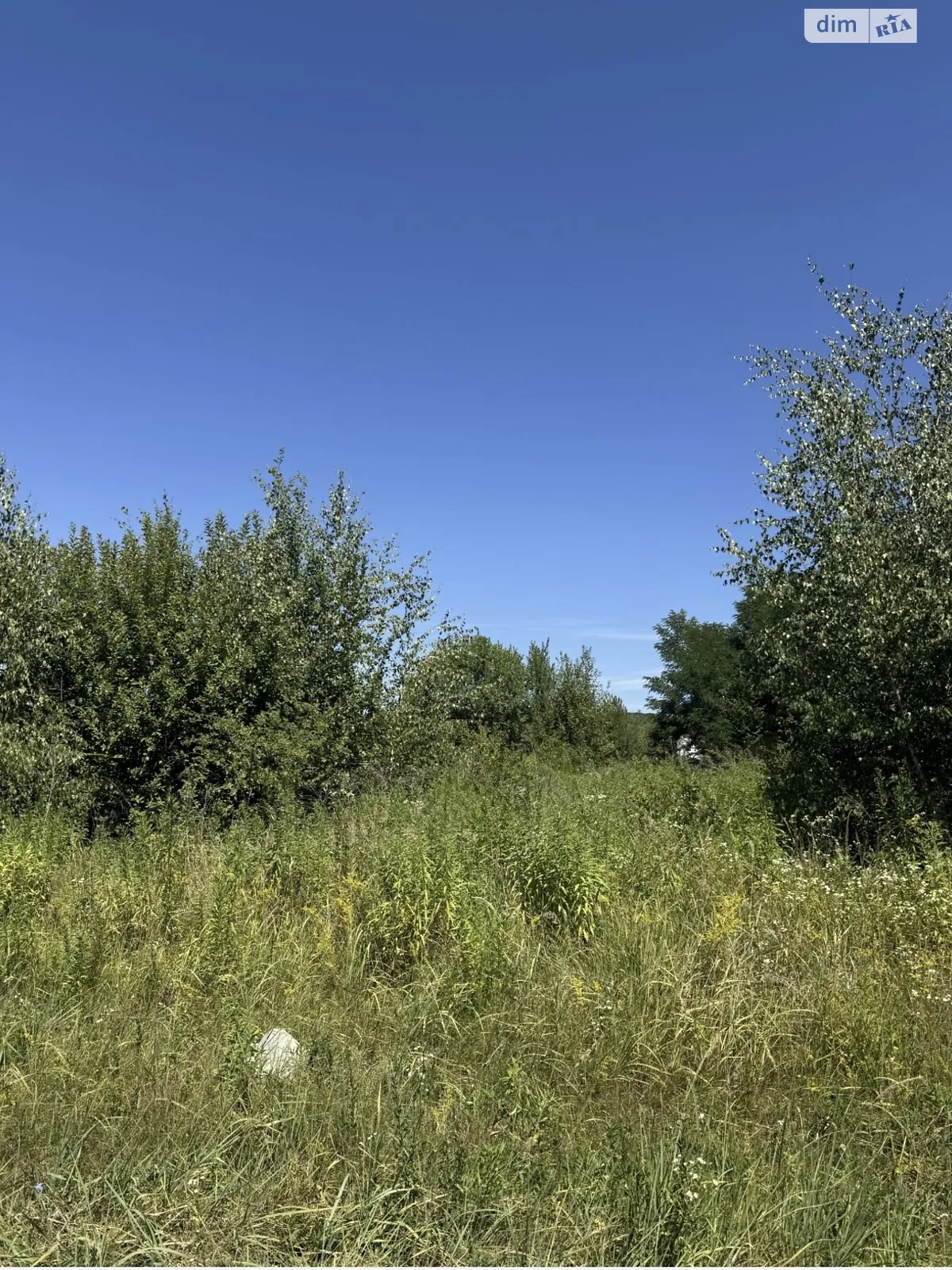 Продается земельный участок 0.9 соток в Закарпатской области, цена: 9500 $ - фото 1