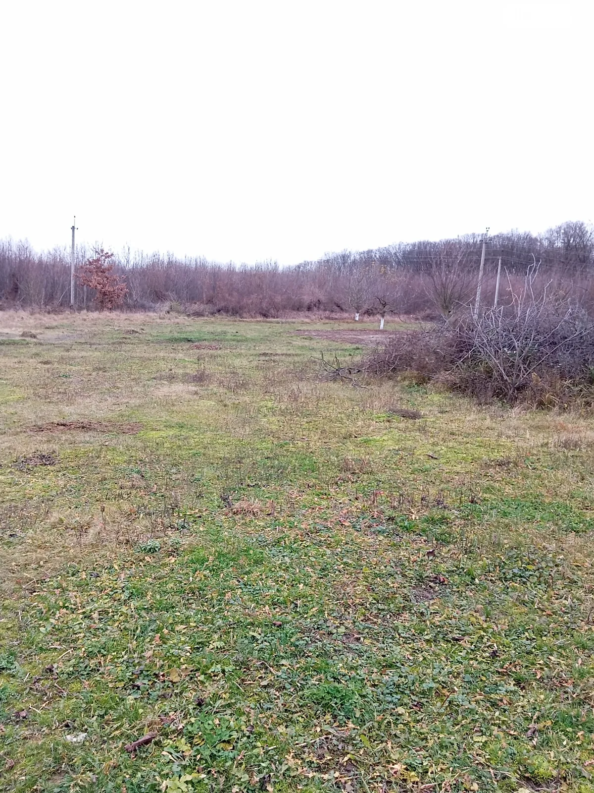 Продается земельный участок 0.15 соток в Хмельницкой области, цена: 7000 $ - фото 1