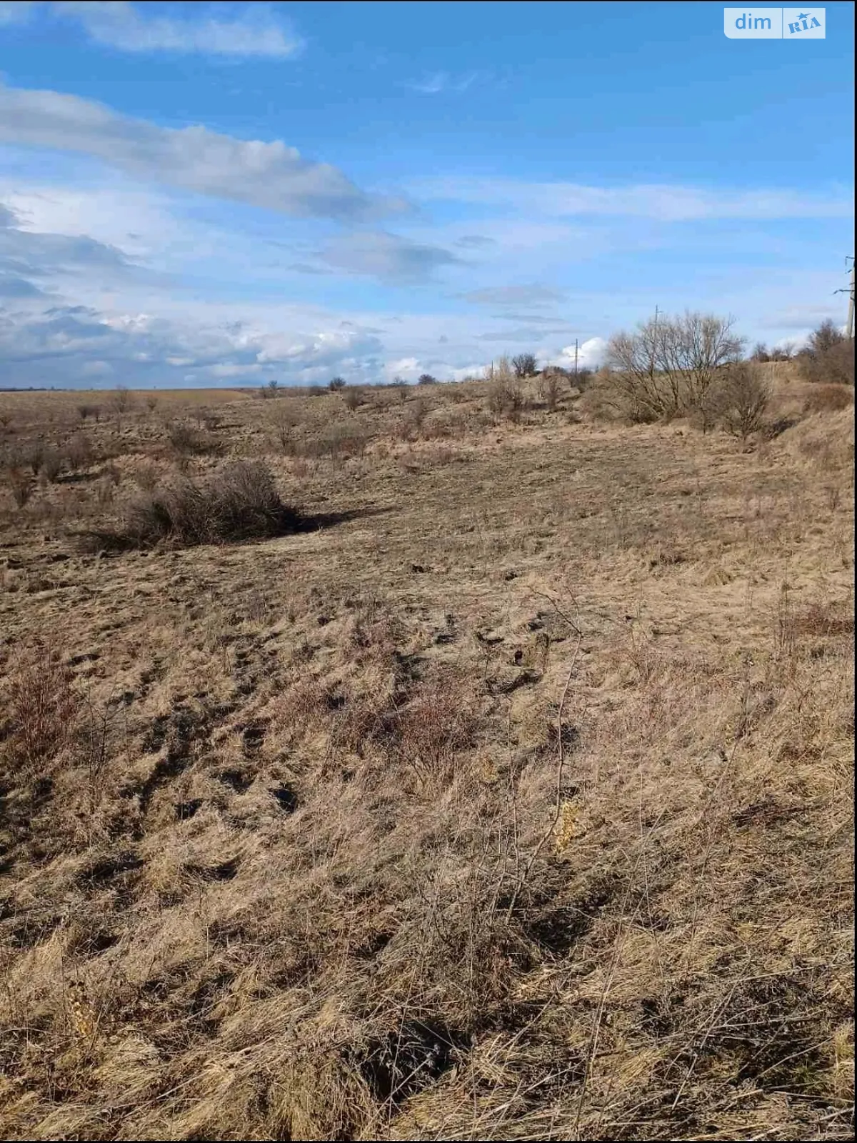 Волковинцы, цена: 30000 грн - фото 1