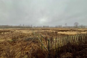 Куплю земельный участок в Чернигове без посредников