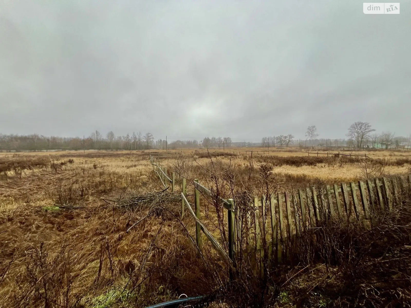 Продається земельна ділянка 10 соток у Чернігівській області, цена: 13000 $ - фото 1