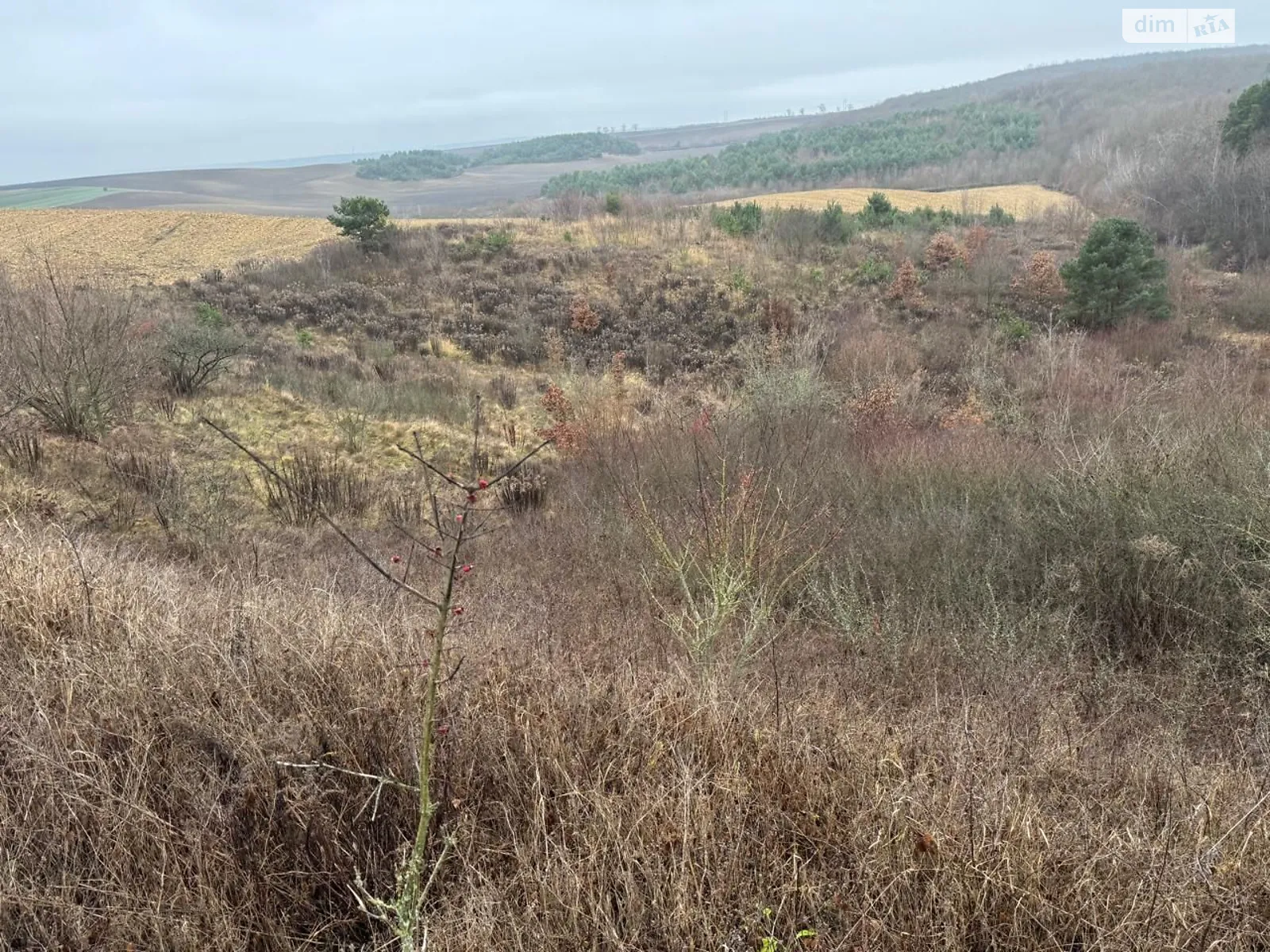 Сдается в аренду земельный участок 5.5262 соток в  области, цена: 5670 грн - фото 1