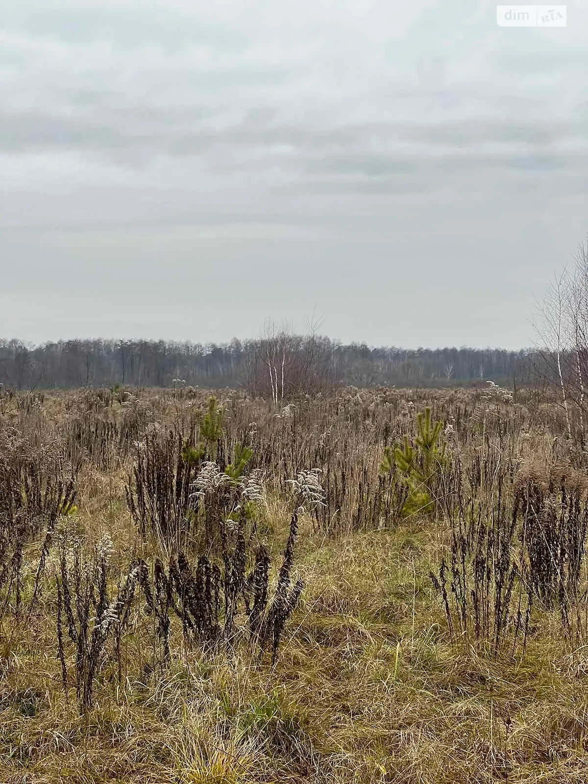 Сдается в аренду земельный участок 7.8203 соток в области, цена: 17123 грн - фото 1