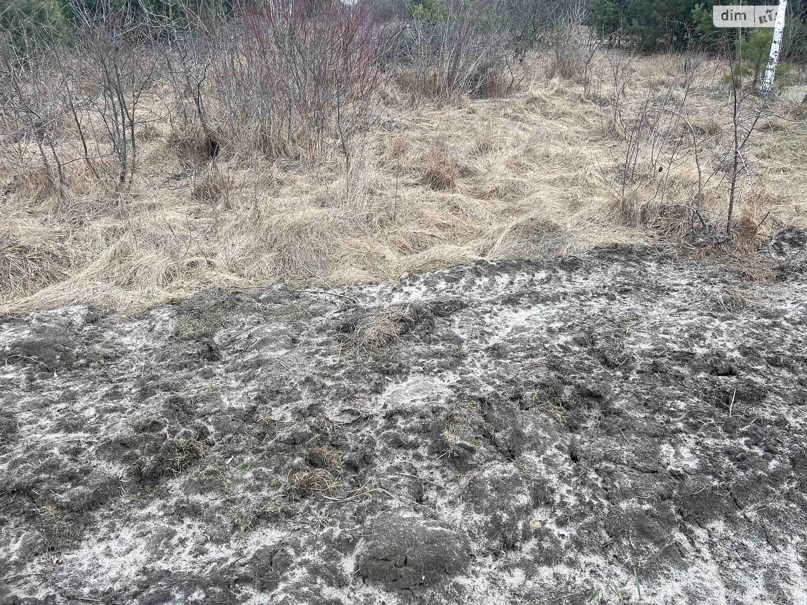 Сдается в аренду земельный участок 4.4884 соток в области, цена: 7780 грн - фото 1