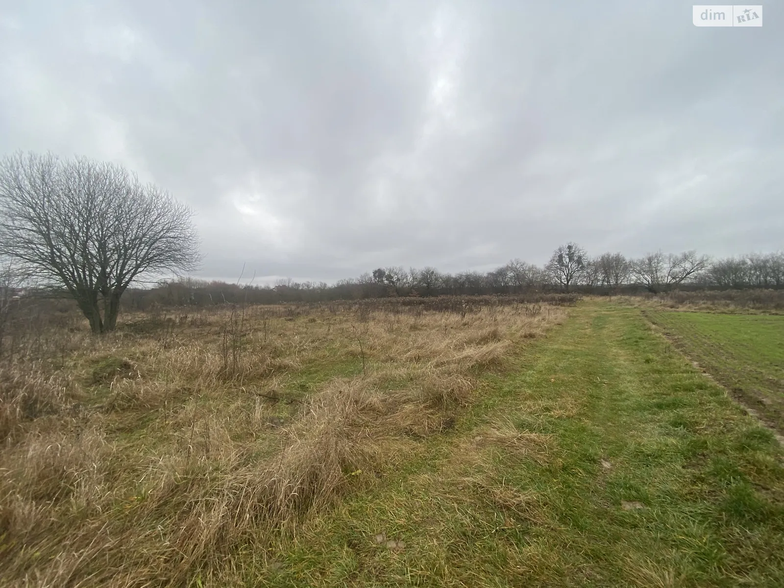 ул. Липовая Якушинцы, цена: 15000 $ - фото 1