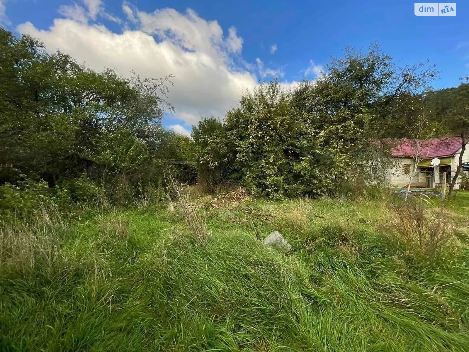 Продается земельный участок 5.55 соток в Закарпатской области, цена: 4000 $ - фото 1
