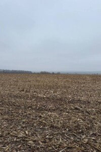 Продажа земли сельскохозяйственного назначения, Хмельницкая, Пироговцы