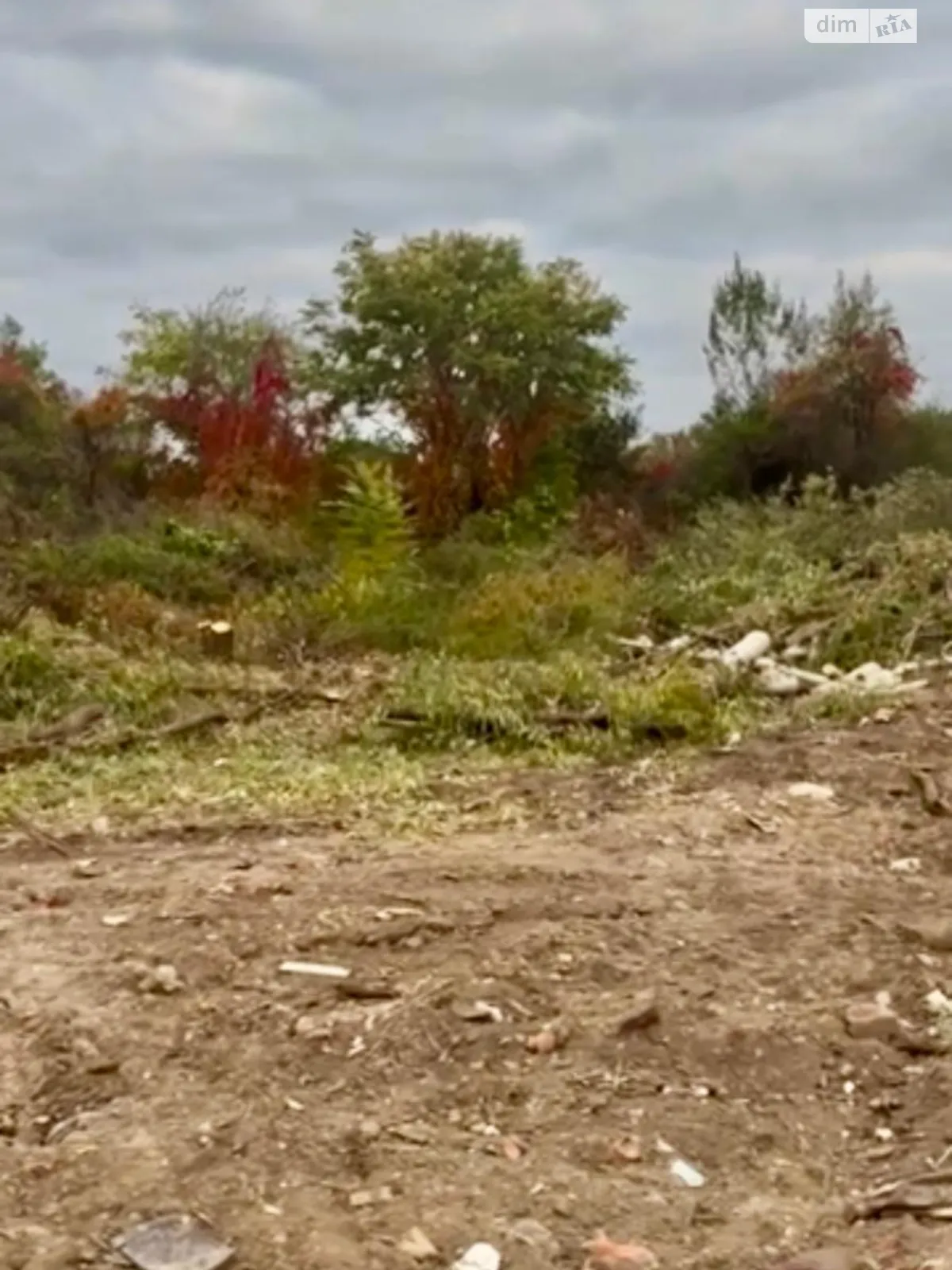 Продается земельный участок 10 соток в Закарпатской области, цена: 45000 $ - фото 1