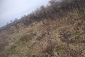 Сниму земельный участок в Белой Церкви долгосрочно