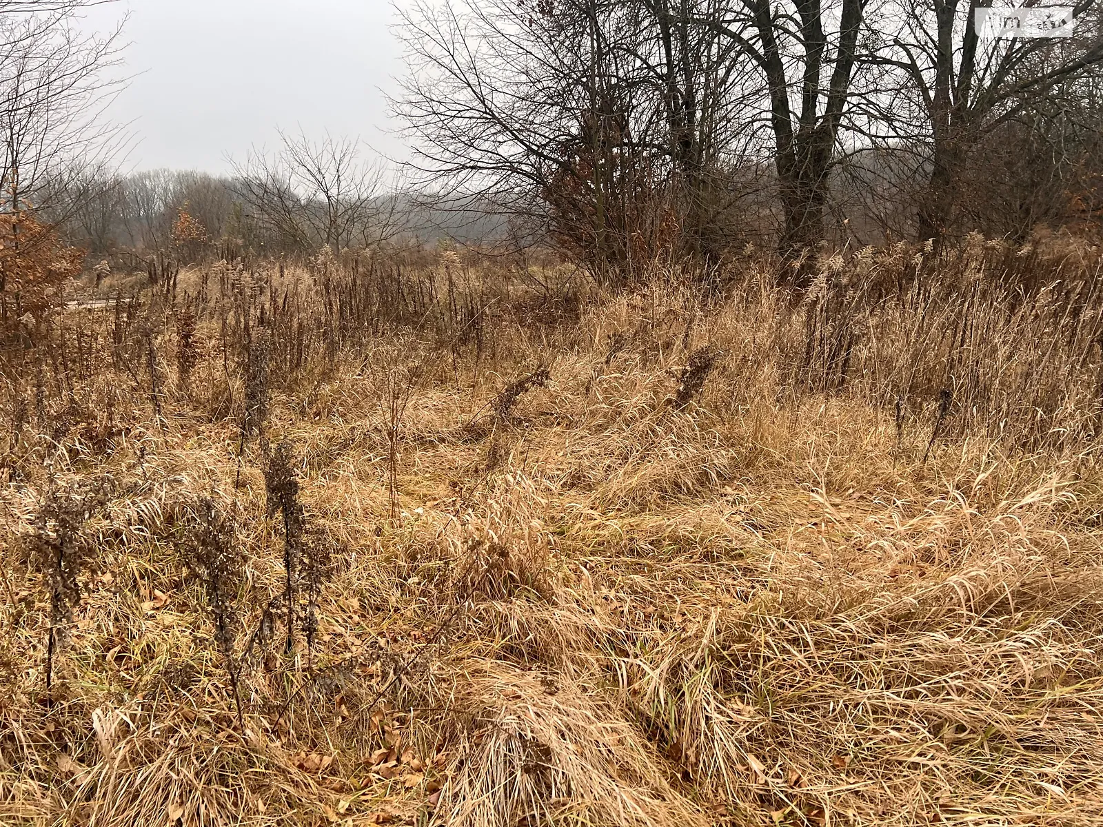 Продается земельный участок 10 соток в Винницкой области, цена: 20000 $ - фото 1